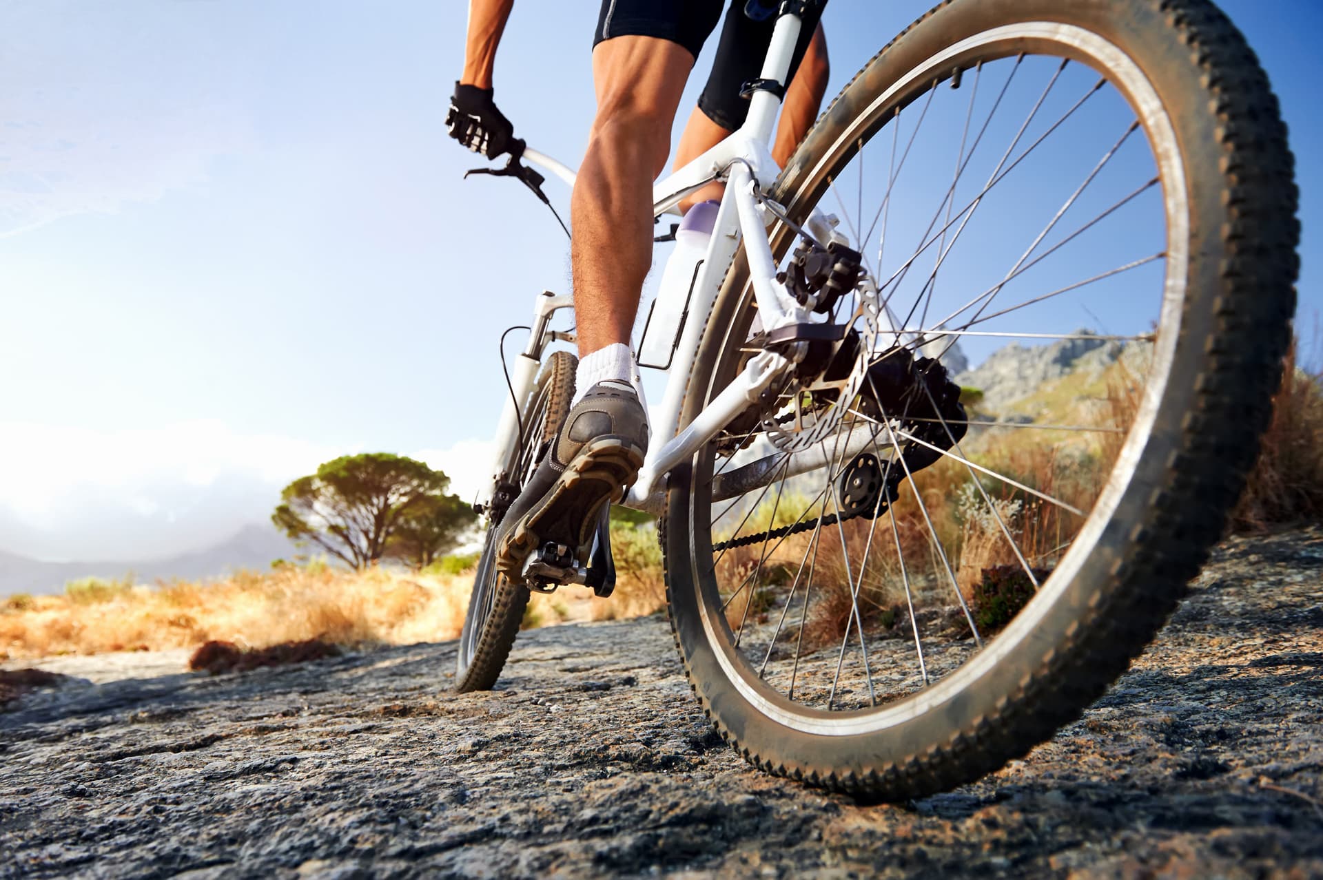 Recambios para bicicletas en Vigo y A Coruña